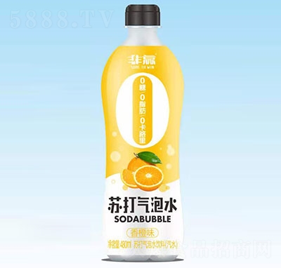 ���A�K�����ˮ�����ζ��480ml