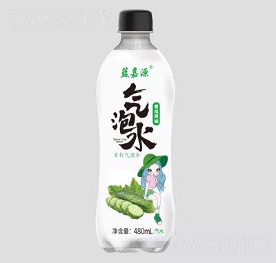 {ԴˮƿbˮLζKˮˮ480ml̼