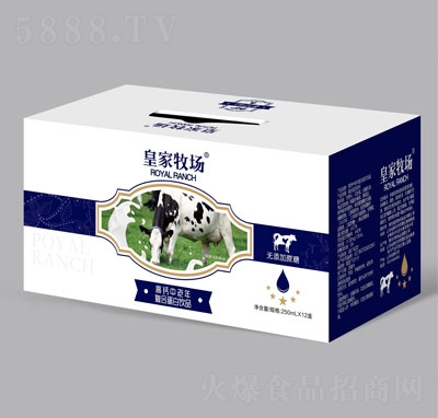 �ʼ��������}������ͺϵ����Ʒ250mlX12��