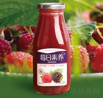 ݮB(yng)(sh)ݮ֭Ʒ250ml