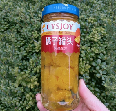 ˮӹ^460g_(ki)޼ʳ^