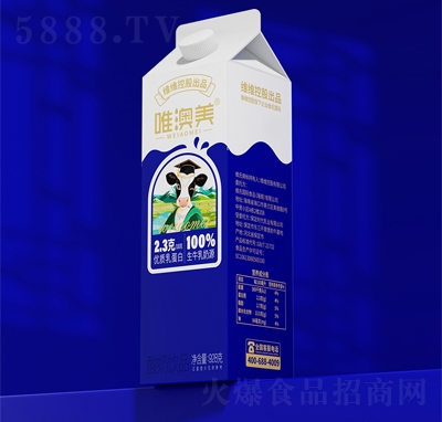 Ψ픺928g