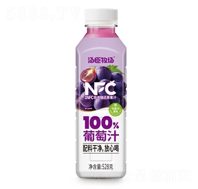 ��������(ch��ng)100%����֭528g